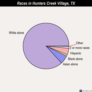 Hunters Creek Village races chart