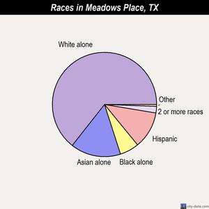 Meadows Place races chart