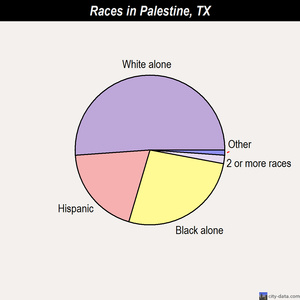 Palestine races chart