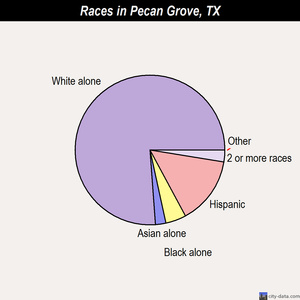 Pecan Grove races chart