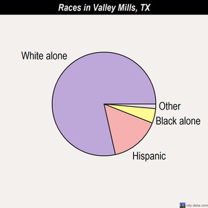 Valley Mills races chart
