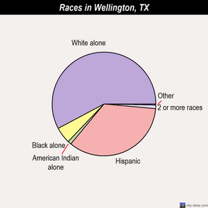 Wellington races chart