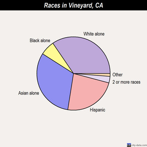 Vineyard races chart