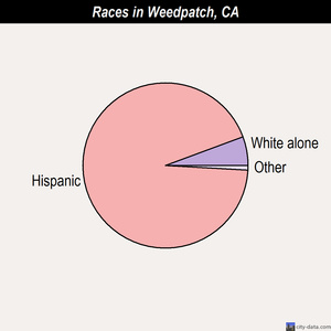 Weedpatch races chart