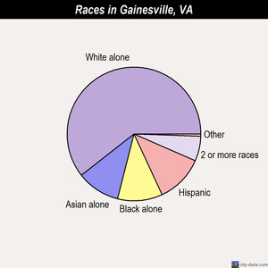 Gainesville races chart
