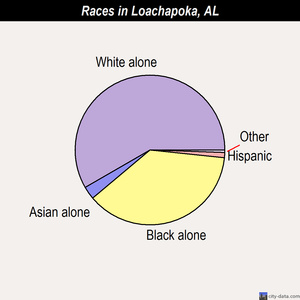 Louisville races chart