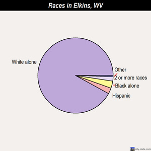 Elkins races chart