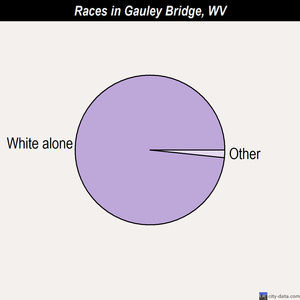 Gauley Bridge races chart