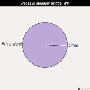 Meadow Bridge races chart