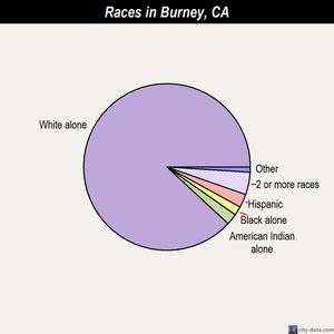 Burney races chart