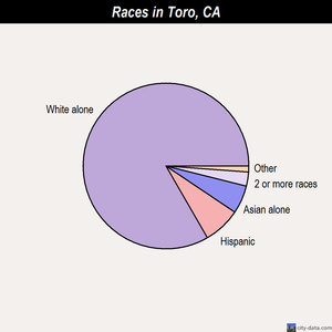 Toro races chart