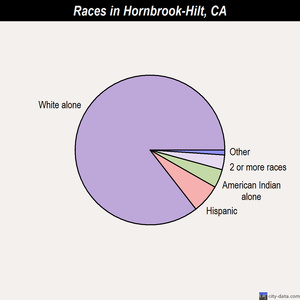 Hornbrook-Hilt races chart