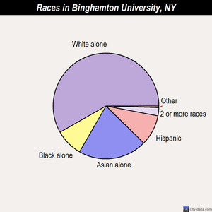 Binghamton University races chart
