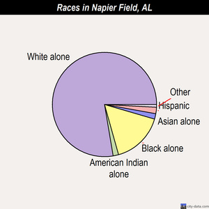 Napier Field races chart