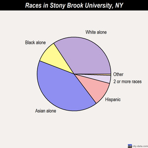 Stony Brook University races chart