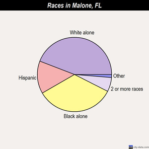 Maitland races chart