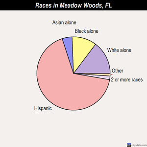 Meadow Woods races chart