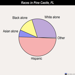 Pine Castle races chart