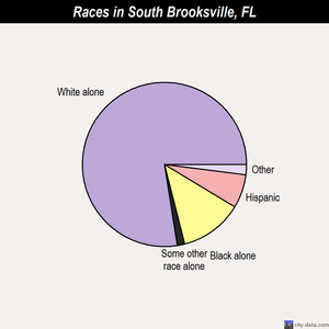 South Brooksville races chart