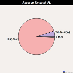 Tamiami races chart