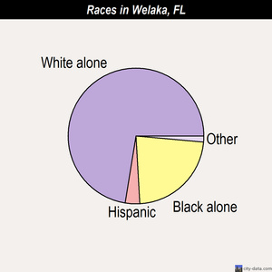 Wesley Chapel races chart