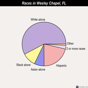 Wesley Chapel races chart
