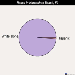Homosassa Springs races chart