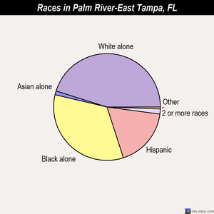 Palm River-East Tampa races chart