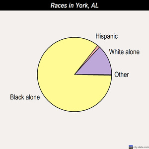York races chart