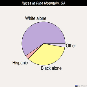 Palmetto races chart