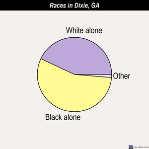 Dixie races chart