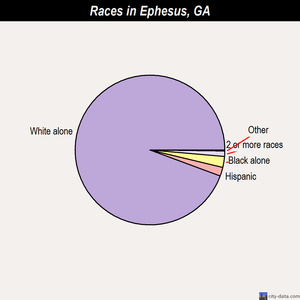 Experiment races chart