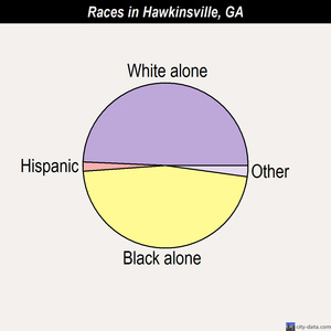 Hawkinsville races chart