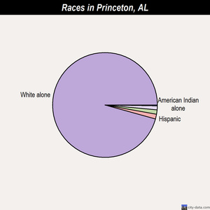 Princeton races chart