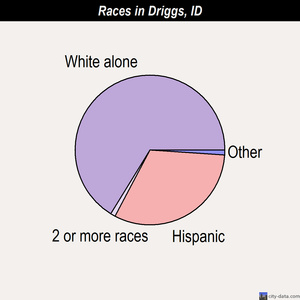Driggs races chart