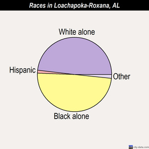 Loachapoka-Roxana races chart