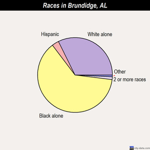 Brundidge races chart