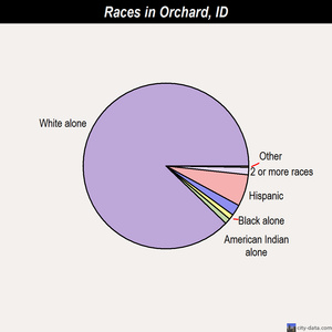 Orchard races chart