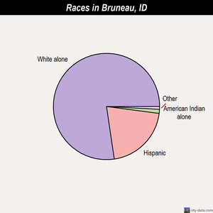 Bruneau races chart