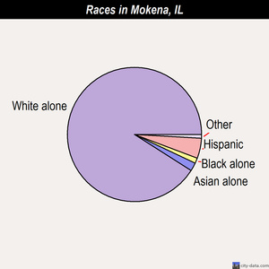 Mokena races chart