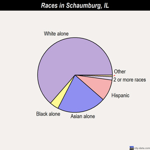 Schaumburg races chart