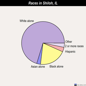 Shiloh races chart