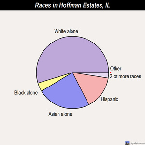 Hoffman Estates races chart