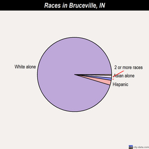 Bruceville races chart