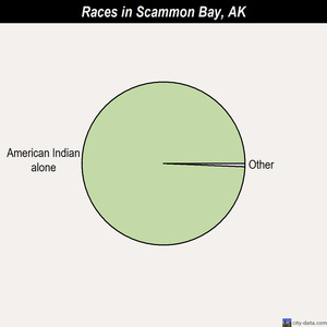 Selawik races chart