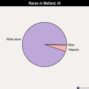 Manly races chart
