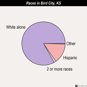 Bird City races chart