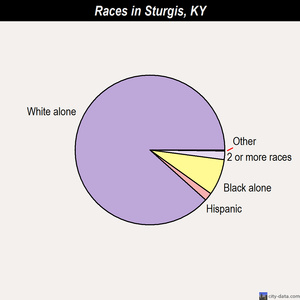 Sturgis races chart
