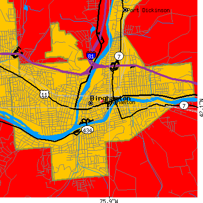 Binghamton map