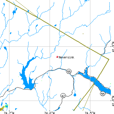 Neversink map